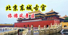 天美传媒tm健身教练中国北京-东城古宫旅游风景区